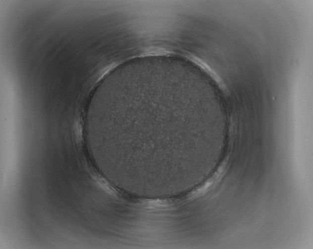 X0000112161401200908071129