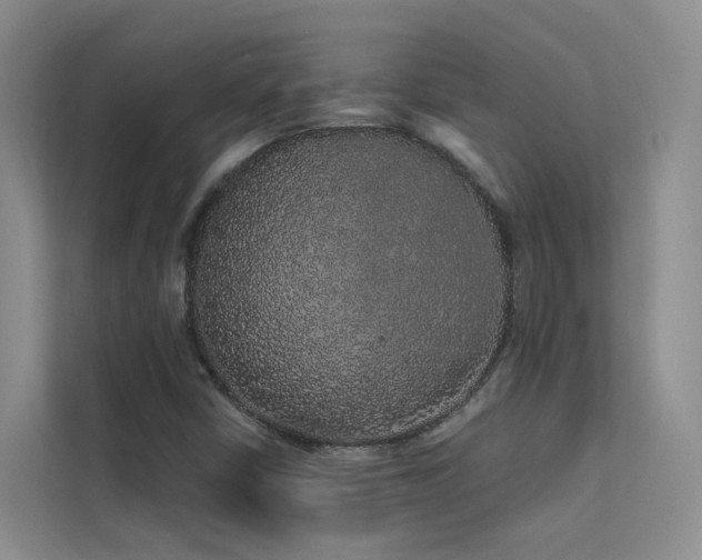 X0000112161402200908071129