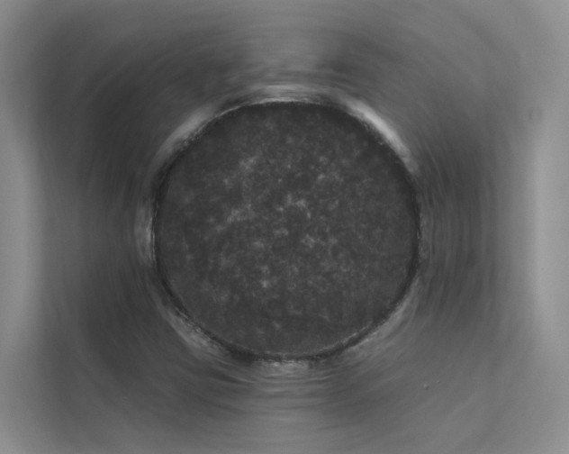 X0000112161403200908071129