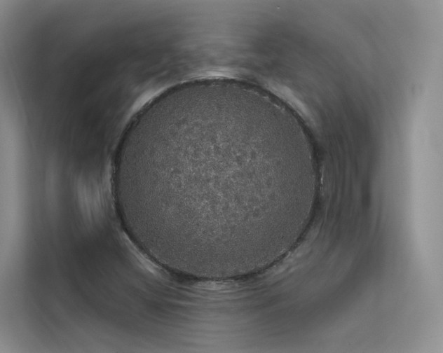 X0000112161404200908071129