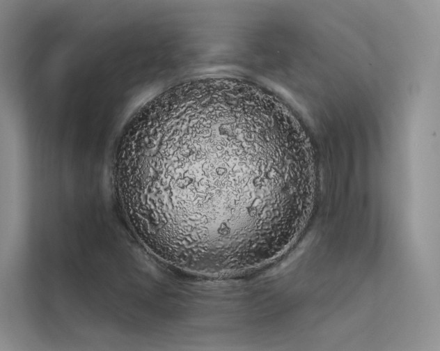 X0000112161405200908071129
