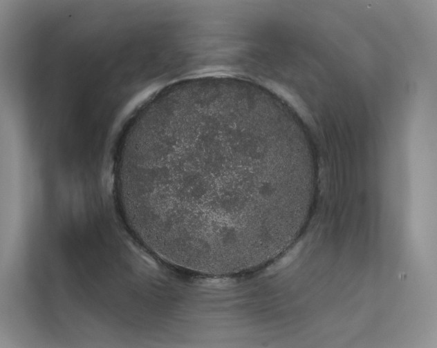 X0000112161406200908071129