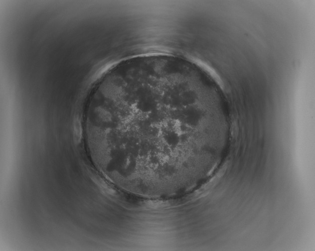 X0000112161407200908071129