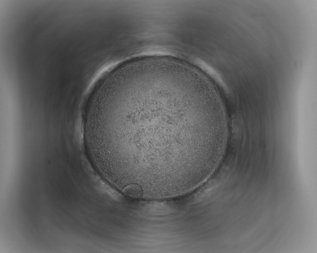 X0000112161408200908071129