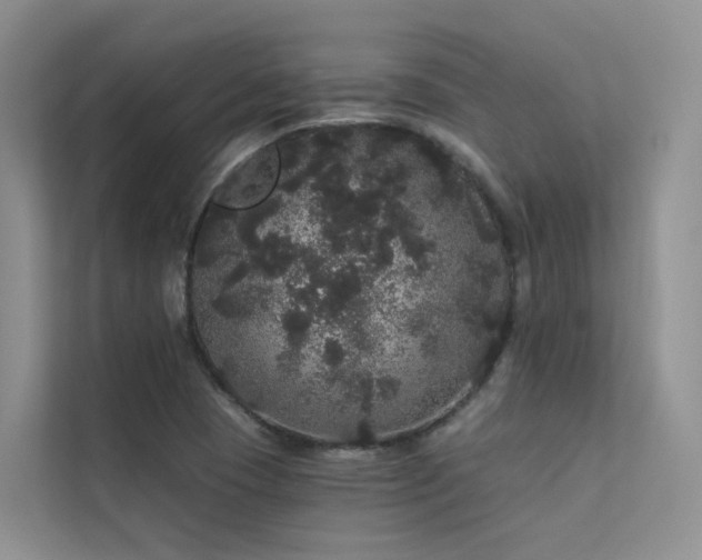 X0000112161409200908071129