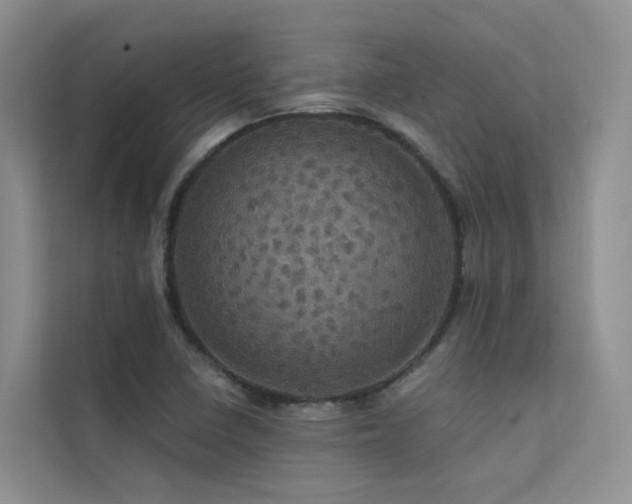 X0000112161410200908071129