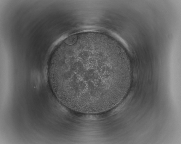 X0000112161411200908071129