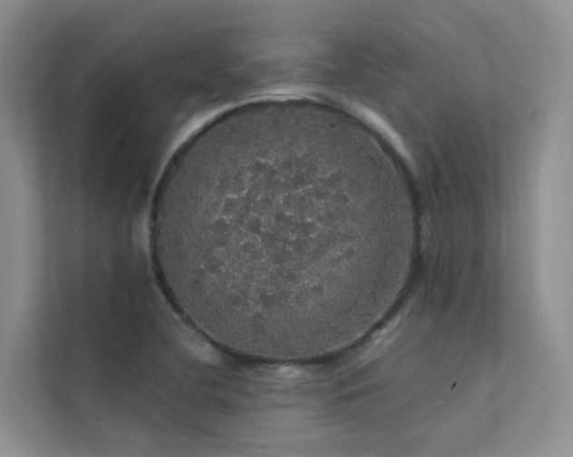 X0000112161412200908071129