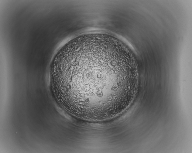 X0000112161413200908071129