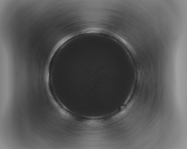 X0000112161418200908071129