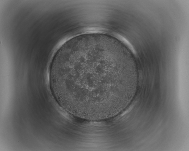 X0000112161419200908071129