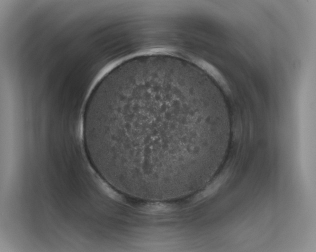 X0000112161420200908071129