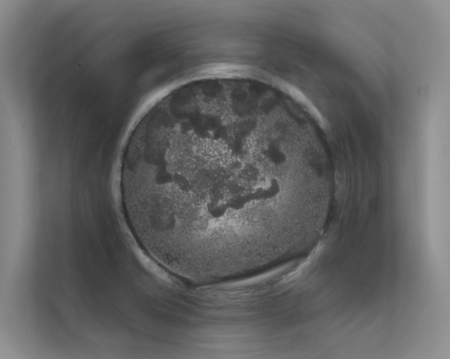 X0000112161421200908071129