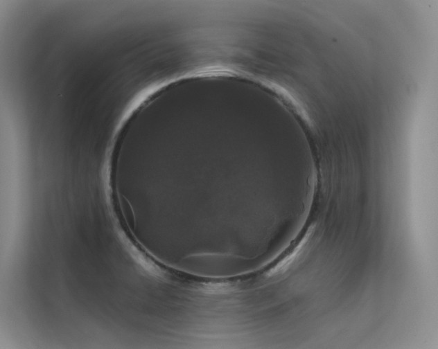 X0000112161422200908071129