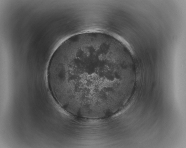 X0000112161423200908071129