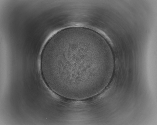 X0000112161424200908071129