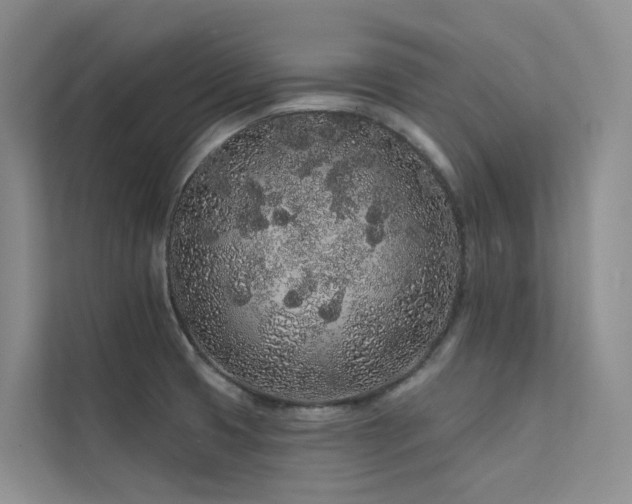 X0000112161425200908071129