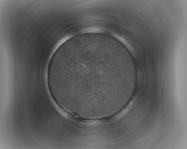 X0000112161426200908071129