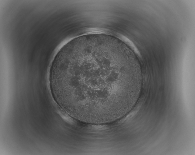 X0000112161427200908071129