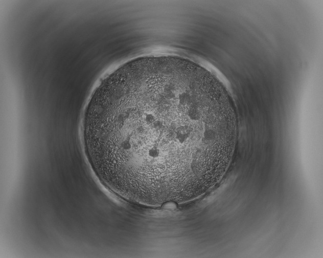 X0000112161429200908071129