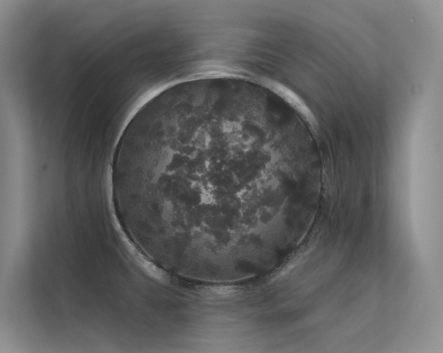 X0000112161431200908071129