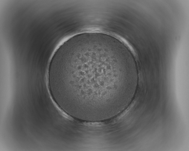 X0000112161432200908071129