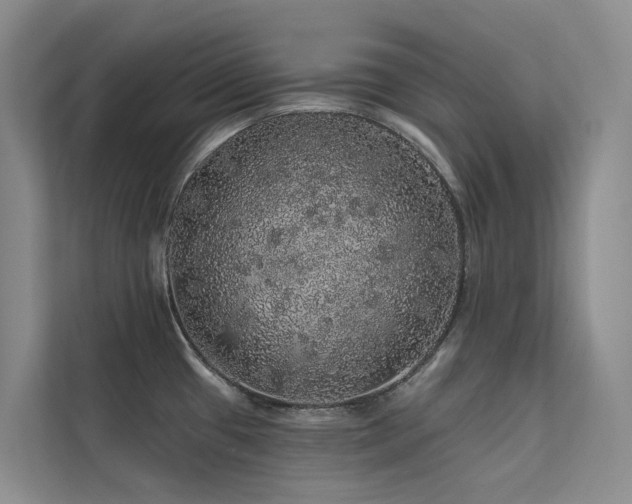 X0000112161433200908071129