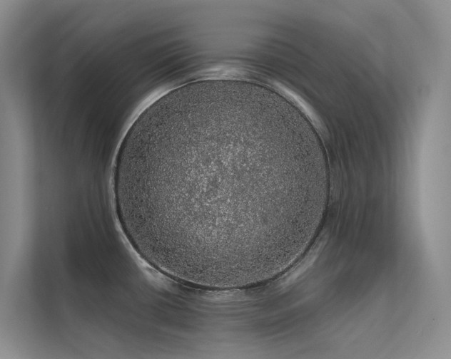X0000112161434200908071129