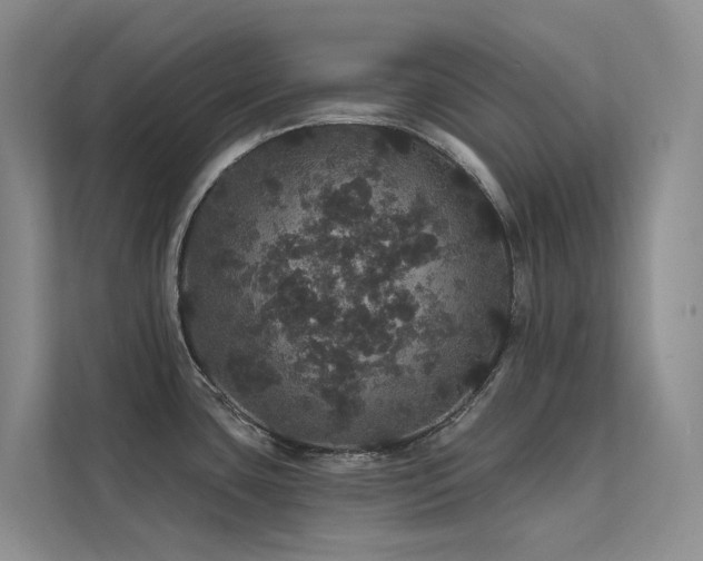 X0000112161435200908071129