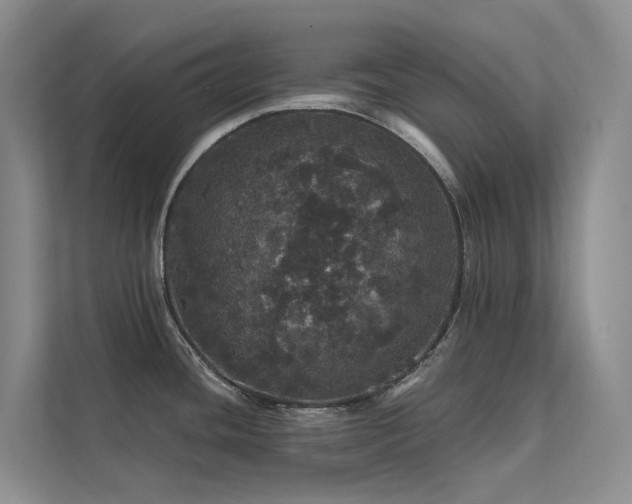X0000112161436200908071129