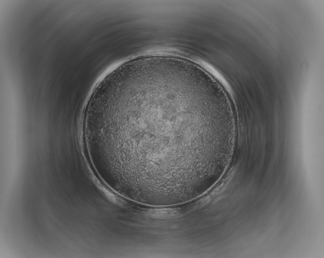 X0000112161437200908071129