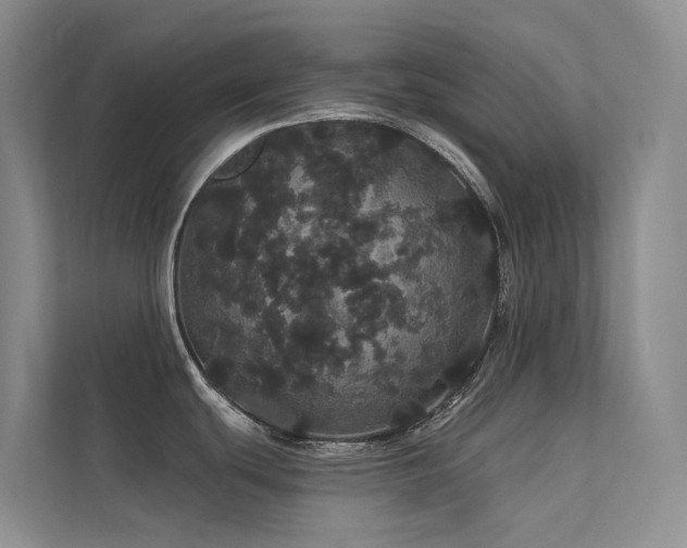 X0000112161439200908071129