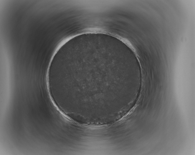 X0000112161440200908071129