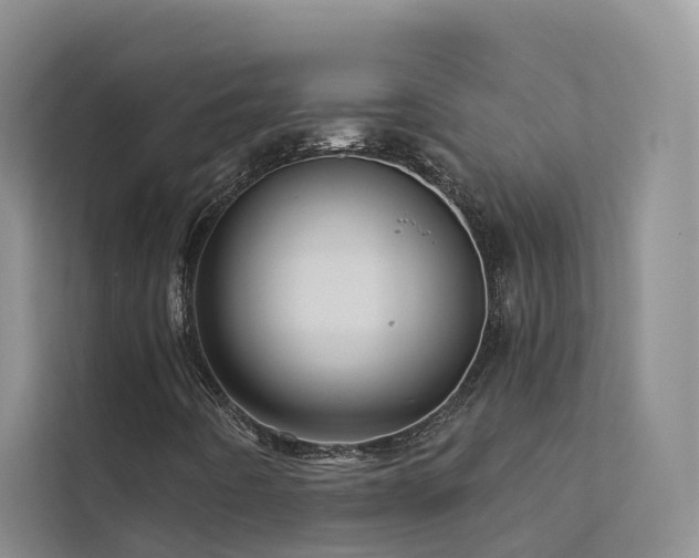 X0000112161442200908071129