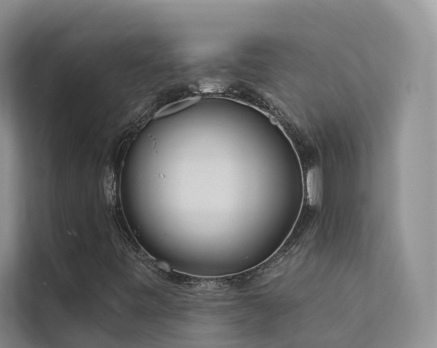 X0000112161443200908071129