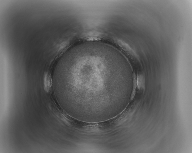 X0000112161444200908071129