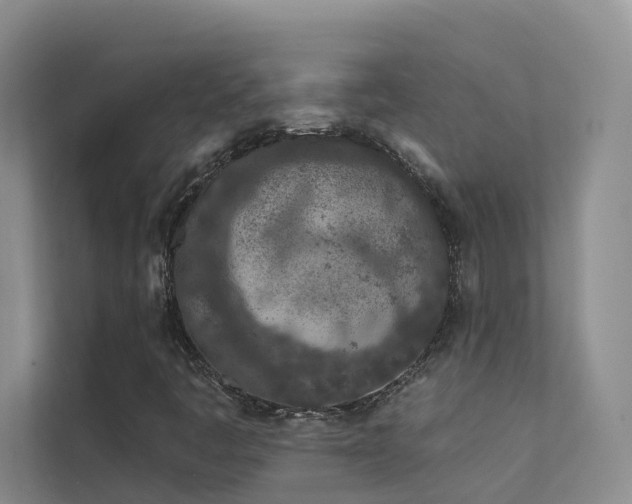 X0000112161445200908071129