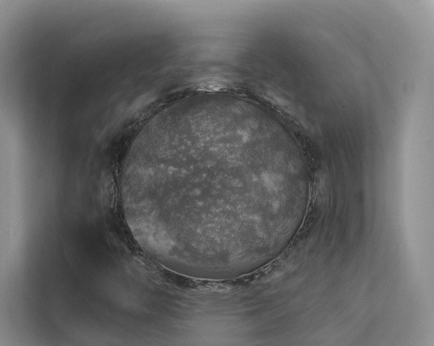 X0000112161446200908071128