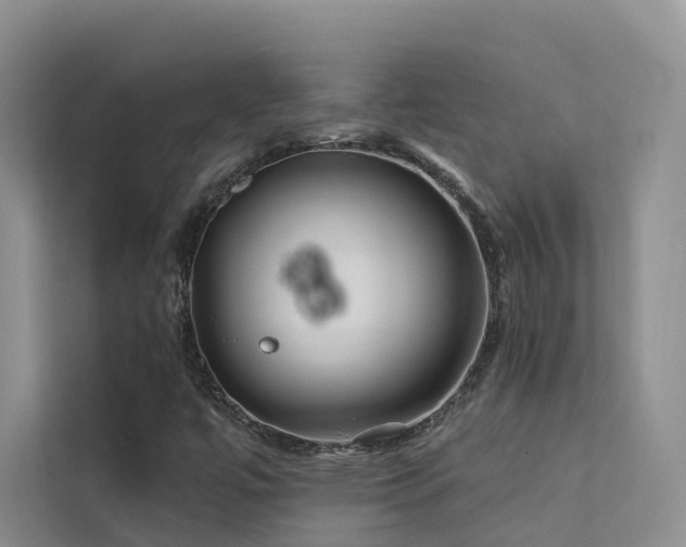 X0000112161447200908071128