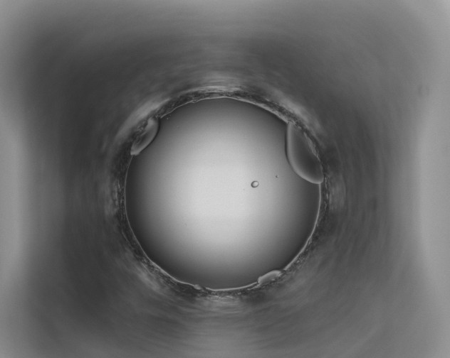 X0000112161448200908071128