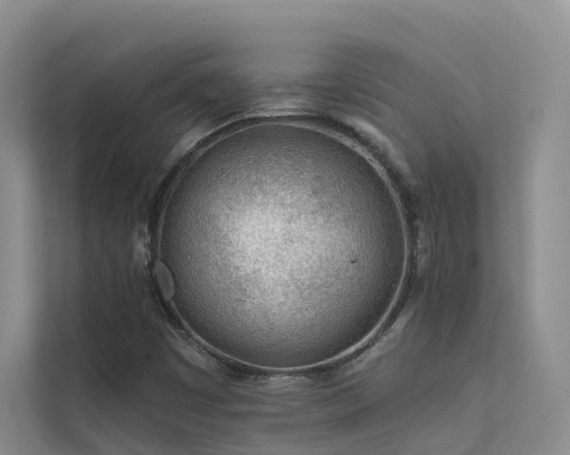 X0000112161449200908071128