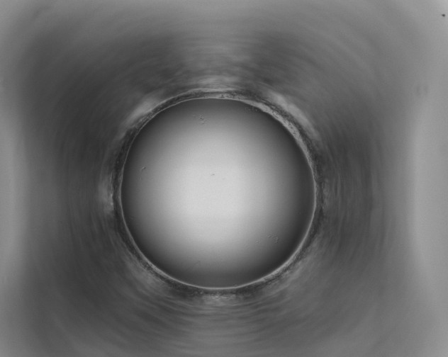 X0000112161451200908071128