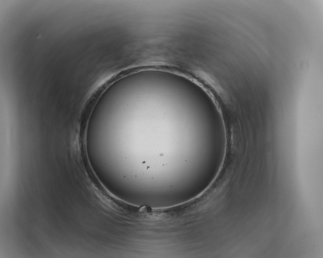 X0000112161452200908071128