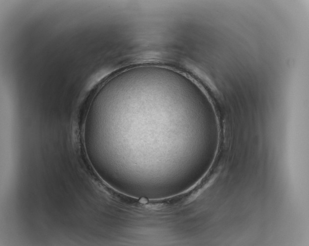 X0000112161453200908071128