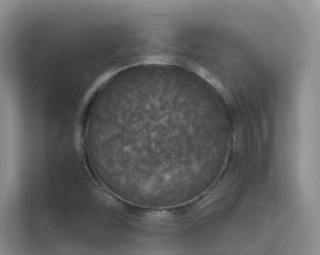 X0000112161454200908071128