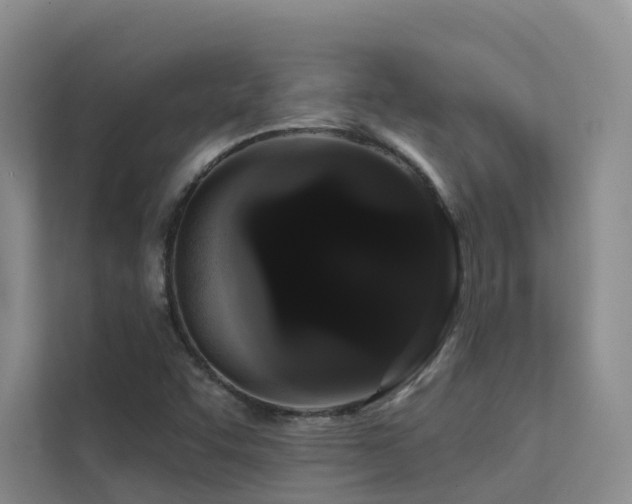 X0000112161455200908071128