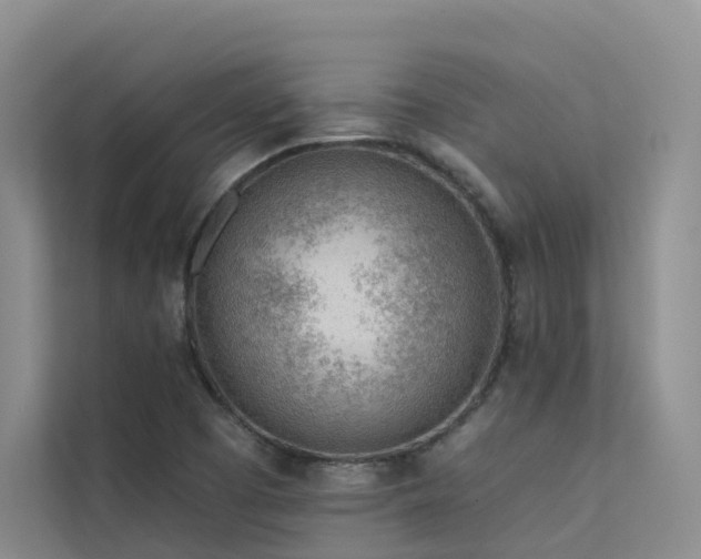 X0000112161457200908071128