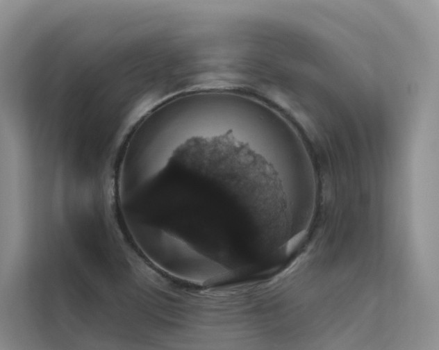 X0000112161459200908071128
