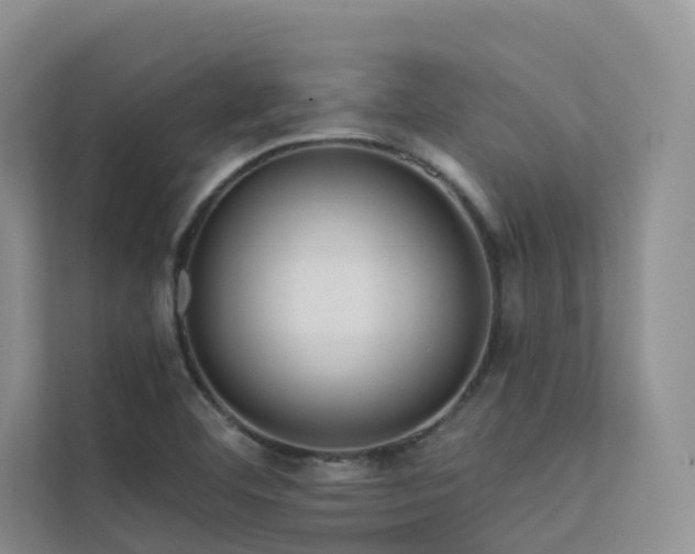X0000112161460200908071128