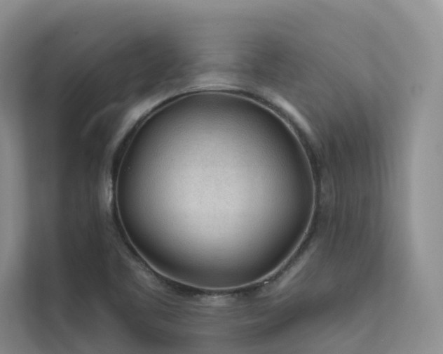 X0000112161461200908071128